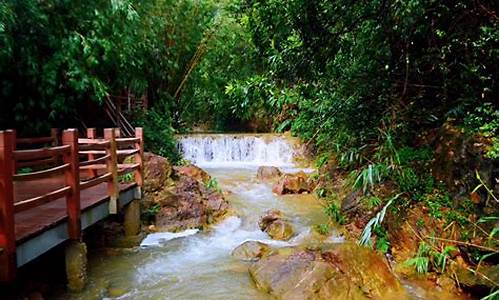 佛山南海湾森林生态园_佛山南海湾森林生态