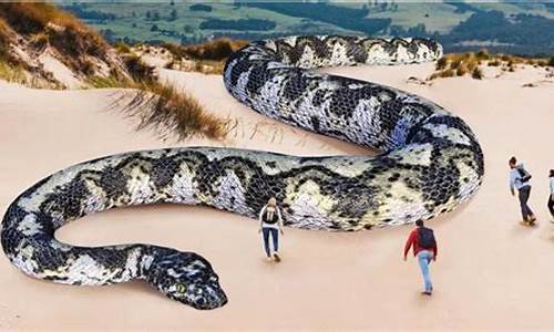 世界上最大的蛇_世界上最大的蛇是什么蛇