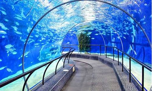 上海海洋水族馆介绍_上海海洋水族馆介绍资料