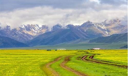 伊犁旅游必去的几个景点_伊犁旅游必去的几个景点图片