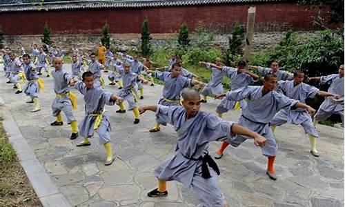 嵩山少林寺武僧团培训基地_嵩山少林寺武僧团培训基地少林功夫表演